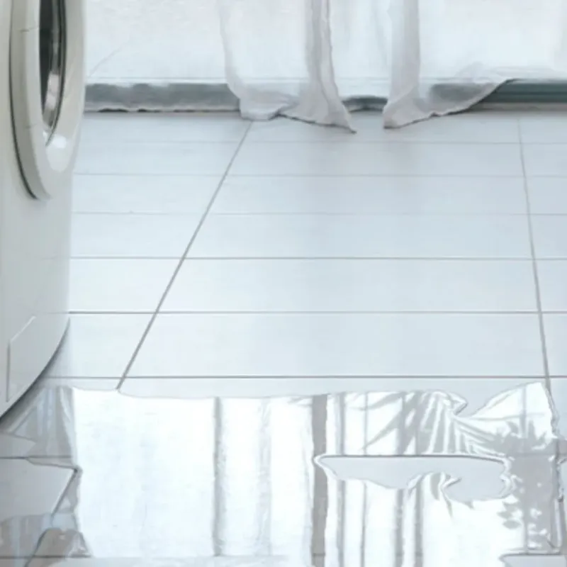 Appliance Leak Cleanup in Schaumburg, IL