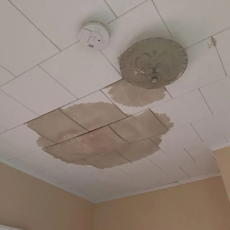 Ceiling Water Damage Repair in Schaumburg, IL
