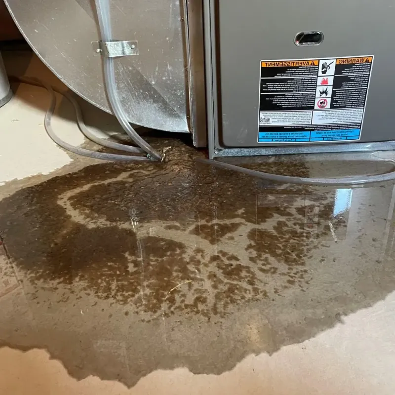 Pipe Burst and Leak Restoration in Schaumburg, IL